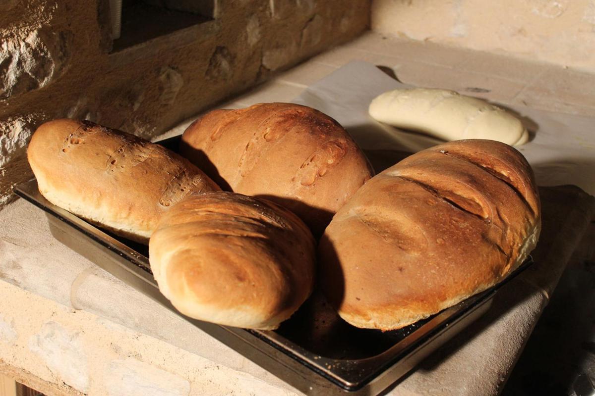 Agriturismo Il Casale Degli Amici Norcia Eksteriør billede