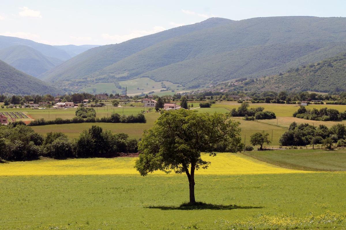 Agriturismo Il Casale Degli Amici Norcia Eksteriør billede