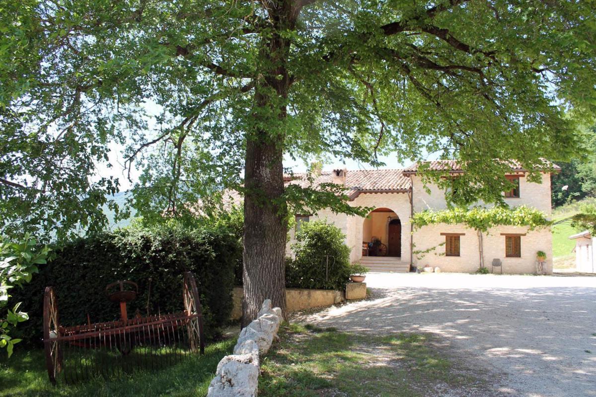 Agriturismo Il Casale Degli Amici Norcia Eksteriør billede